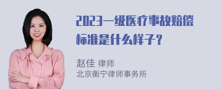 2023一级医疗事故赔偿标准是什么样子？