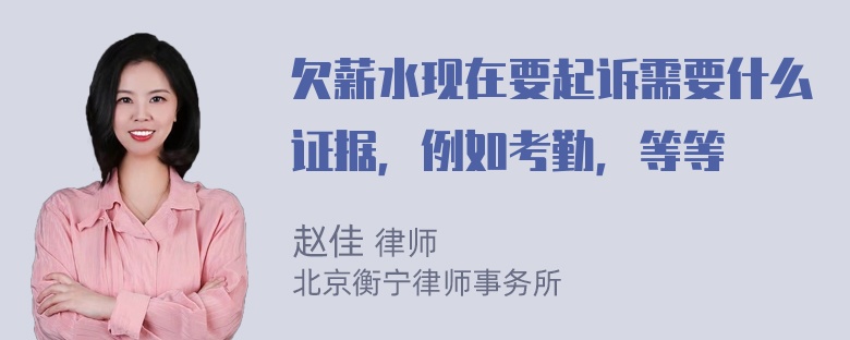 欠薪水现在要起诉需要什么证据，例如考勤，等等