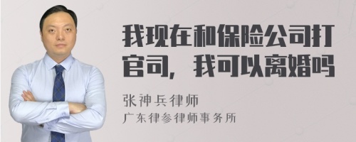 我现在和保险公司打官司，我可以离婚吗