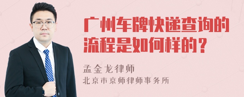 广州车牌快递查询的流程是如何样的？