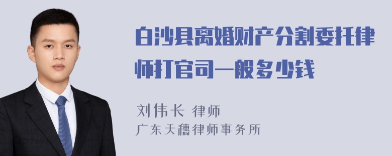 白沙县离婚财产分割委托律师打官司一般多少钱