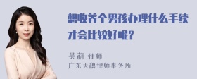 想收养个男孩办理什么手续才会比较好呢？