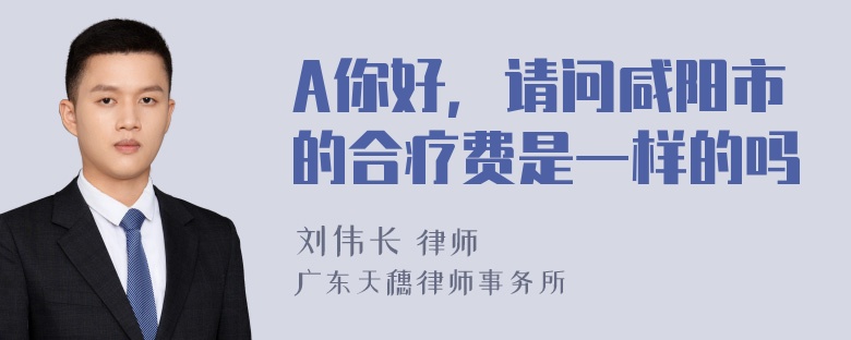 A你好，请问咸阳市的合疗费是一样的吗