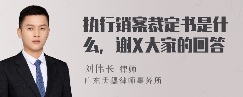 执行销案裁定书是什么，谢X大家的回答