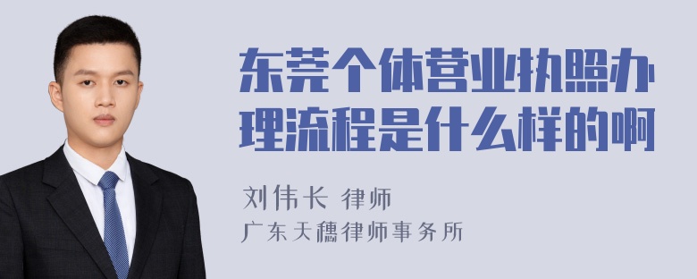 东莞个体营业执照办理流程是什么样的啊