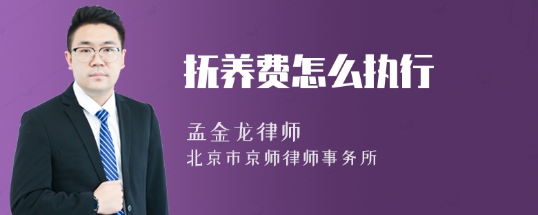 抚养费怎么执行