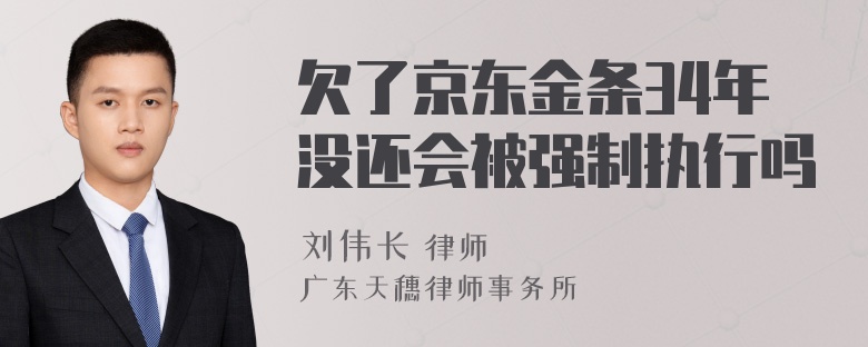 欠了京东金条34年没还会被强制执行吗