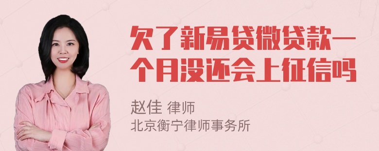 欠了新易贷微贷款一个月没还会上征信吗