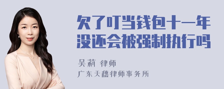 欠了叮当钱包十一年没还会被强制执行吗