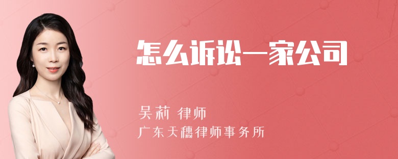 怎么诉讼一家公司