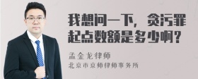 我想问一下，贪污罪起点数额是多少啊？