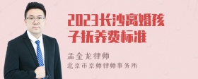 2023长沙离婚孩子抚养费标准