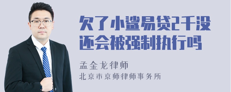 欠了小鲨易贷2千没还会被强制执行吗