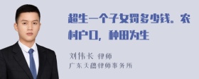 超生一个子女罚多少钱。农村户口，种田为生