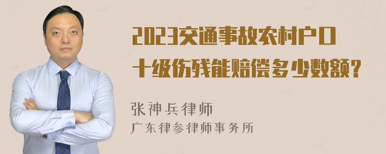 2023交通事故农村户口十级伤残能赔偿多少数额？