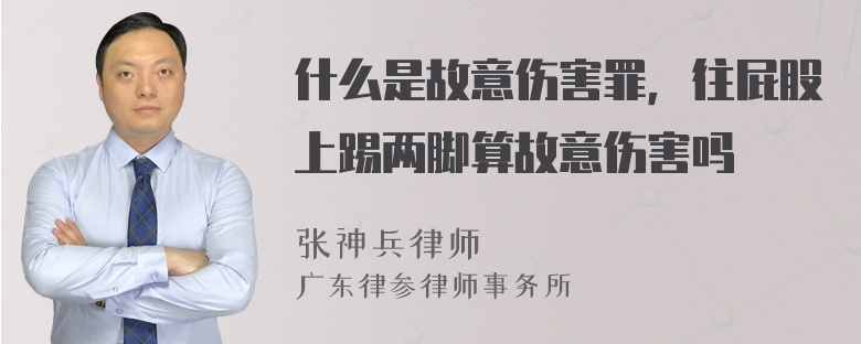 什么是故意伤害罪，往屁股上踢两脚算故意伤害吗