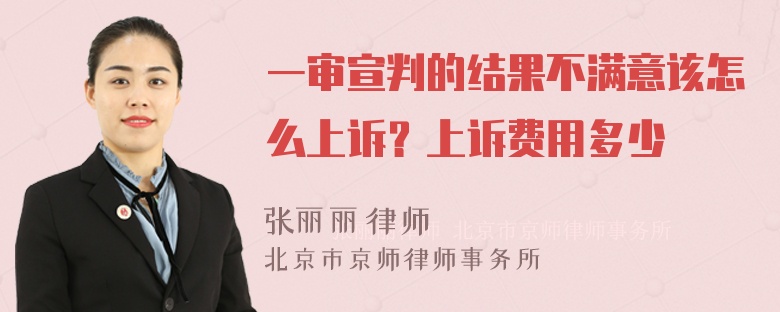 一审宣判的结果不满意该怎么上诉？上诉费用多少