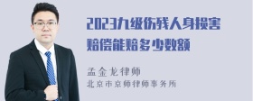 2023九级伤残人身损害赔偿能赔多少数额