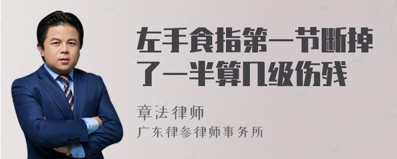 左手食指第一节断掉了一半算几级伤残