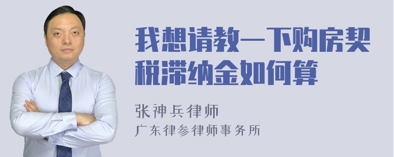 我想请教一下购房契税滞纳金如何算