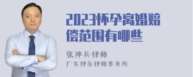 2023怀孕离婚赔偿范围有哪些