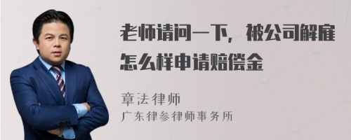 老师请问一下，被公司解雇怎么样申请赔偿金