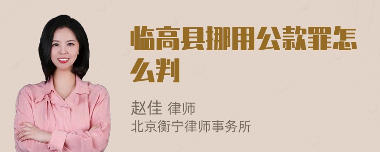 临高县挪用公款罪怎么判