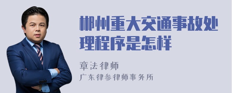 郴州重大交通事故处理程序是怎样