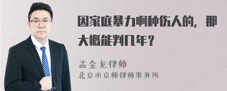 因家庭暴力啊种伤人的，那大概能判几年？