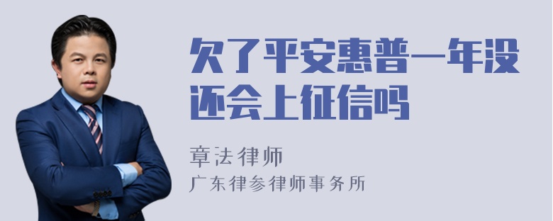 欠了平安惠普一年没还会上征信吗