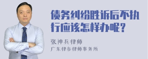 债务纠纷胜诉后不执行应该怎样办呢？