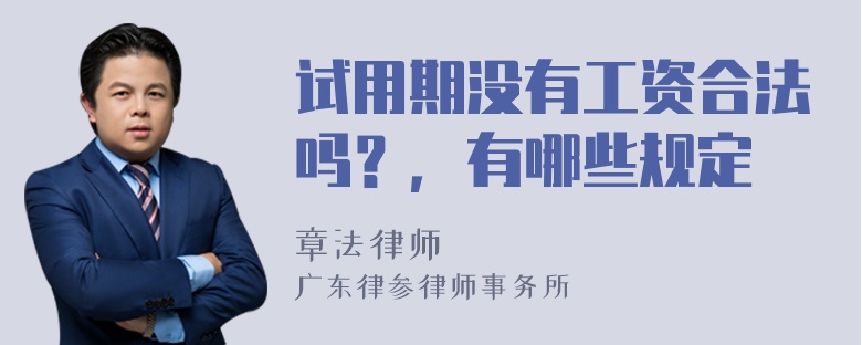 试用期没有工资合法吗？，有哪些规定