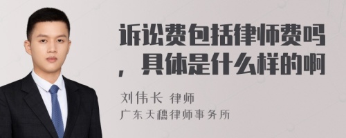 诉讼费包括律师费吗，具体是什么样的啊