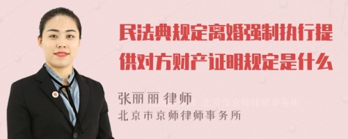 民法典规定离婚强制执行提供对方财产证明规定是什么