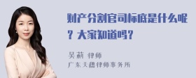 财产分割官司标底是什么呢？大家知道吗？