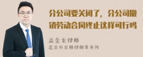 分公司要关闭了，分公司撤销劳动合同终止这样可行吗