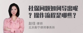 社保问题如何导出呢？操作流程是哪些？