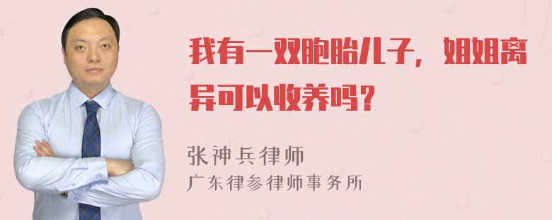 我有一双胞胎儿子，姐姐离异可以收养吗？