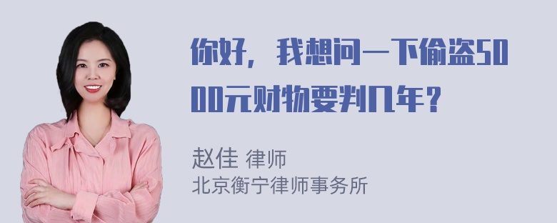 你好，我想问一下偷盗5000元财物要判几年？