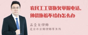 农民工工资拖欠举报电话。仲裁拖着不给办怎么办