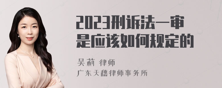 2023刑诉法一审是应该如何规定的