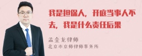 我是担保人，开庭当事人不去，我是什么责任后果