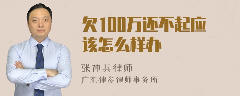 欠100万还不起应该怎么样办