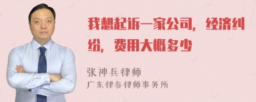 我想起诉一家公司，经济纠纷，费用大概多少