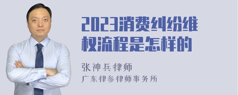 2023消费纠纷维权流程是怎样的