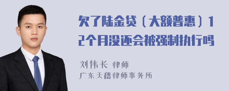 欠了陆金贷（大额普惠）12个月没还会被强制执行吗