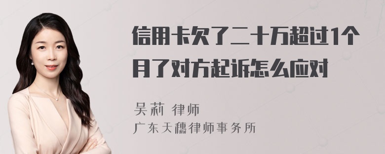 信用卡欠了二十万超过1个月了对方起诉怎么应对