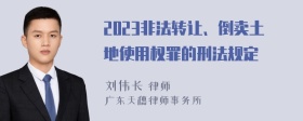 2023非法转让、倒卖土地使用权罪的刑法规定