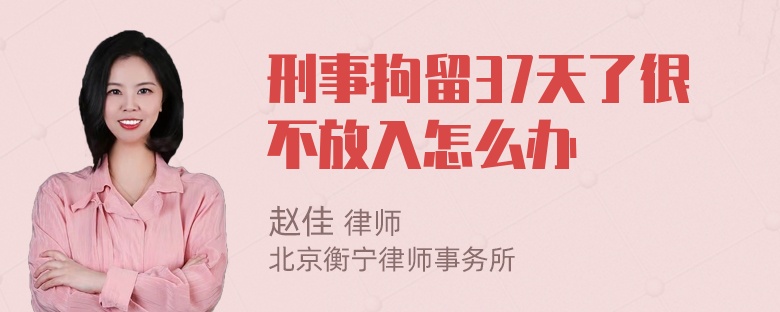 刑事拘留37天了很不放入怎么办