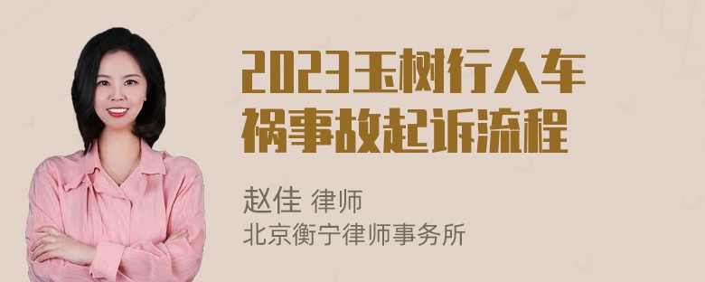 2023玉树行人车祸事故起诉流程